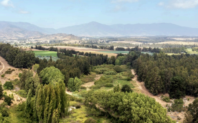 Senderos, miradores y biodiversidad Conoce el parque costero que reconecta a la comunidad con la naturaleza de Puchuncaví