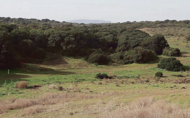 Parque Quirilluca: un tesoro ecológico que se protege para el futuro